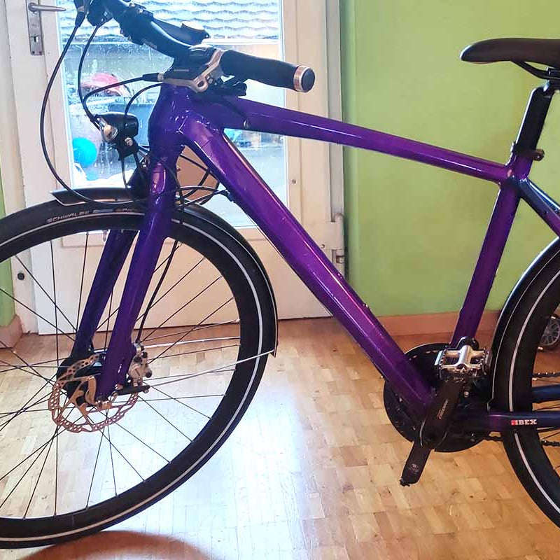 MOOXIBIKE, lila, fahrrad, folierung, Zimmer, gruen