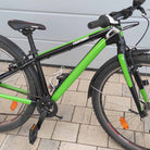 mooxibike-fahrradfolie-granny-green-gruen-poppig-uni-farbe-fahrrad