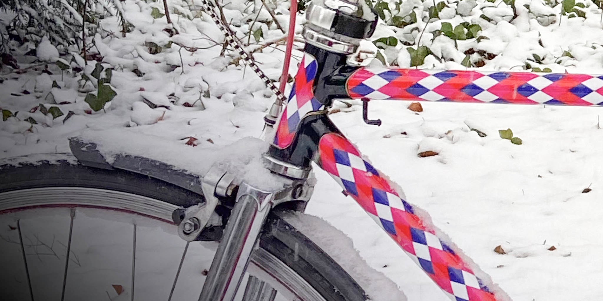 mooxibike-header-fahrrad-folierung-harlekin-schnee