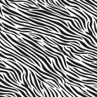 mooxibike-fahrradfolie-animal-print-zebra-schwarz-weiss-muster-02