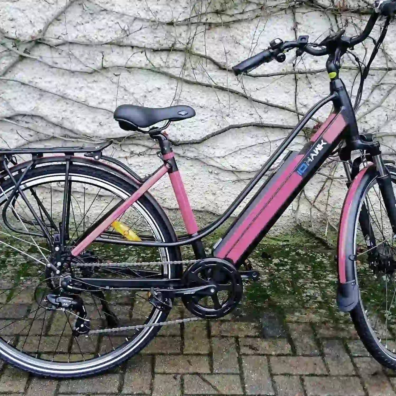 E-Bike mit glänzender Rahmenschutzfolie in Himbeerrot Metallic für einen individuellen Look.